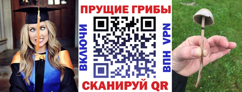где можно купить наркотик  Чита  Псилоцибиновые грибы ЛСД 